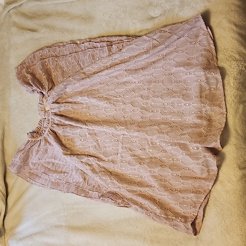 XL Loft Sparkly Purple Short Sleeve Top